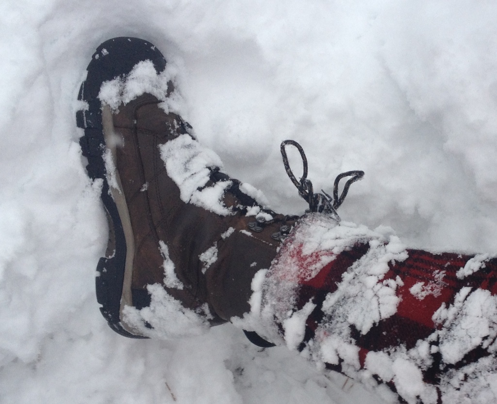 keen men's summit county waterproof winter boot