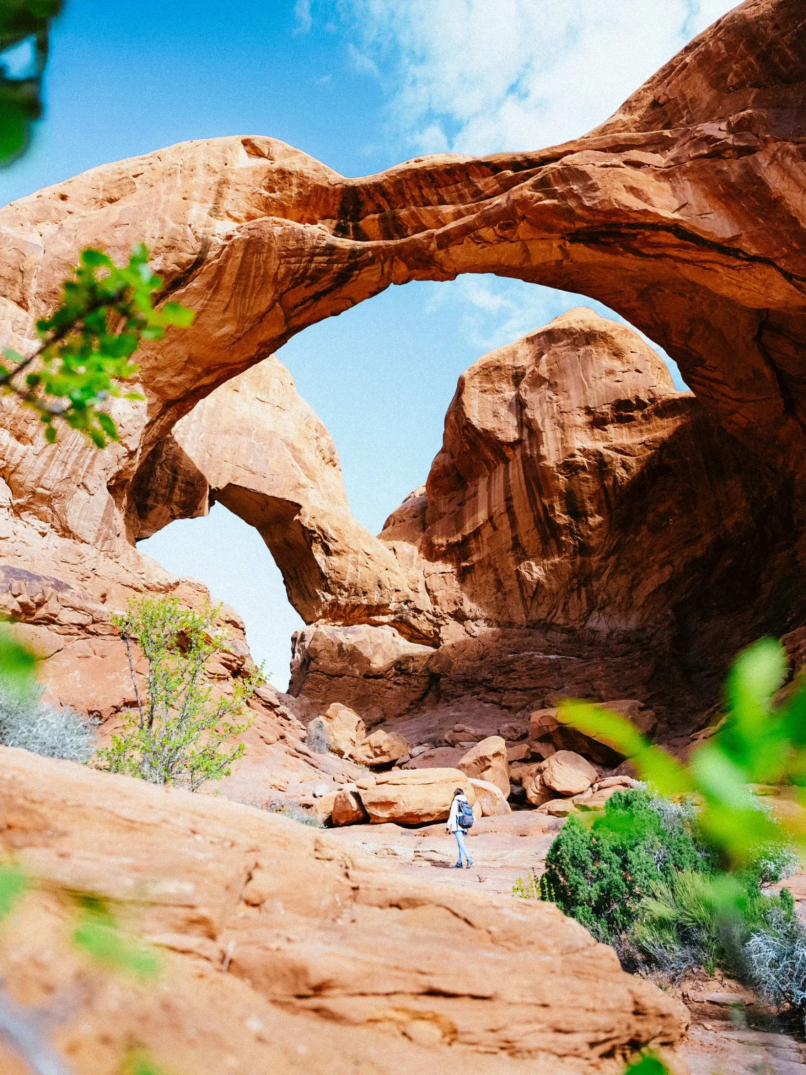 Topographic map showing the state of Idaho with rivers and elevation shading.