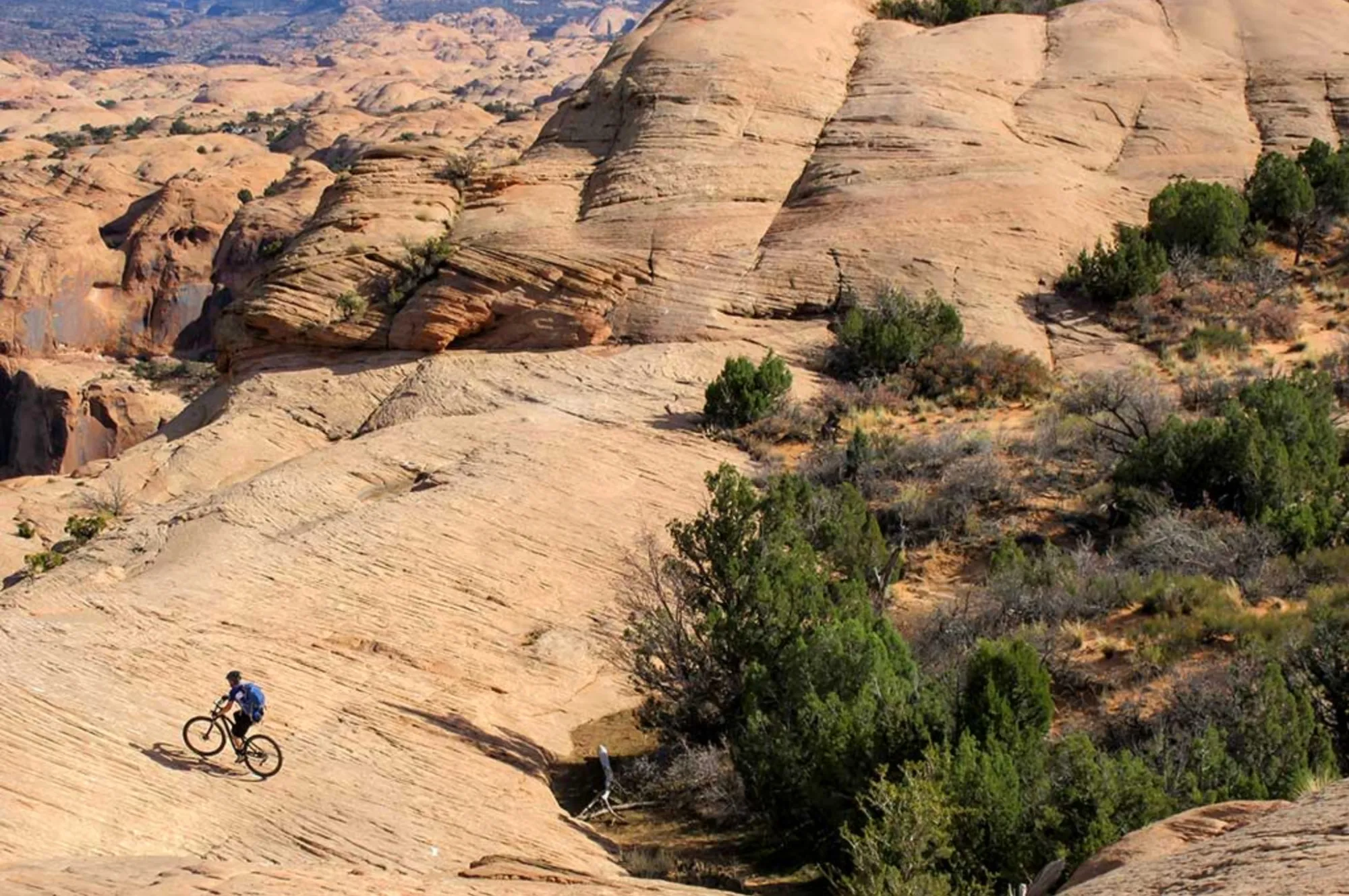 Topographic map showing the state of Idaho with rivers and elevation shading.