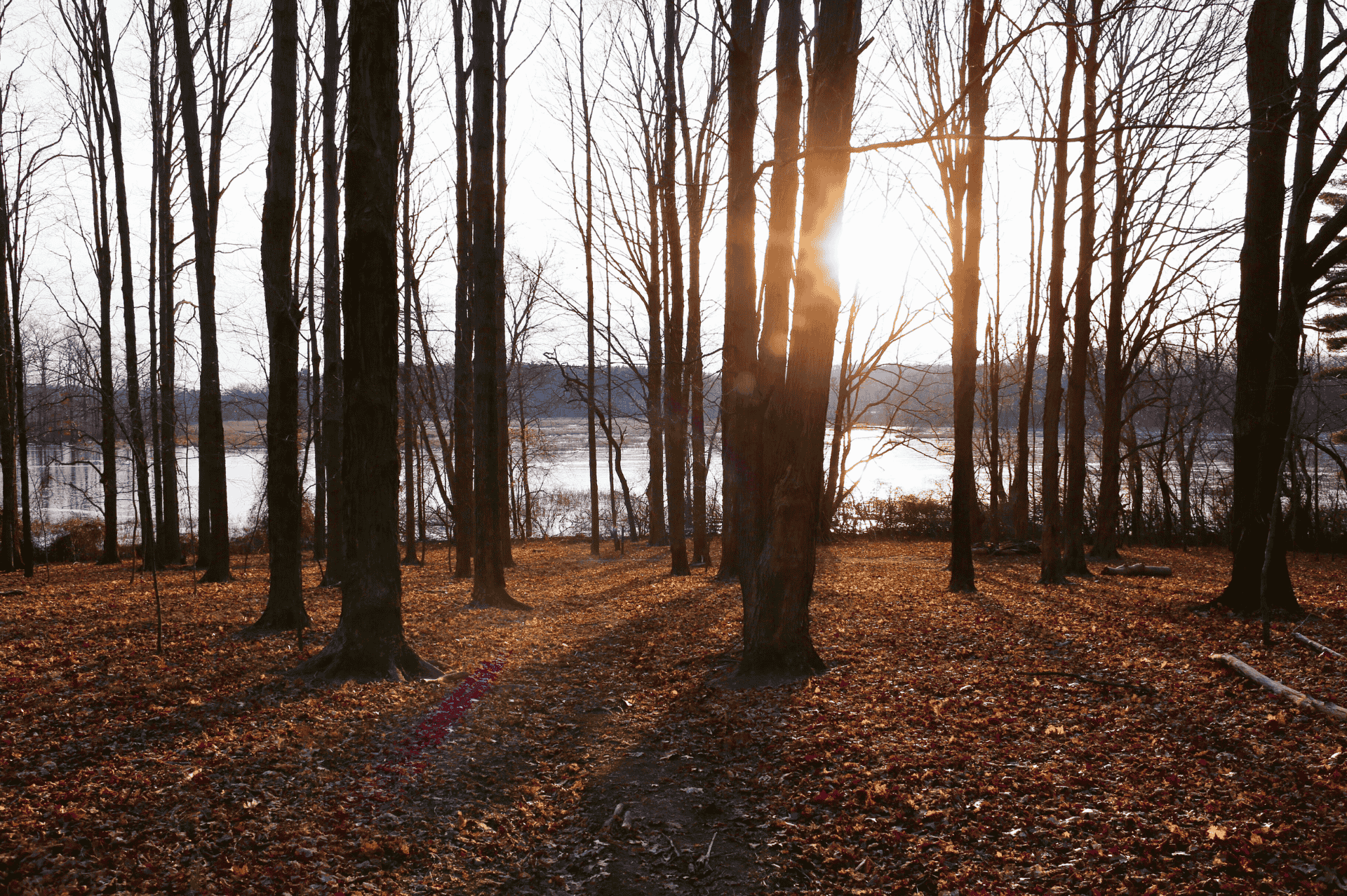 cavern with wooden boardwalk and stairs