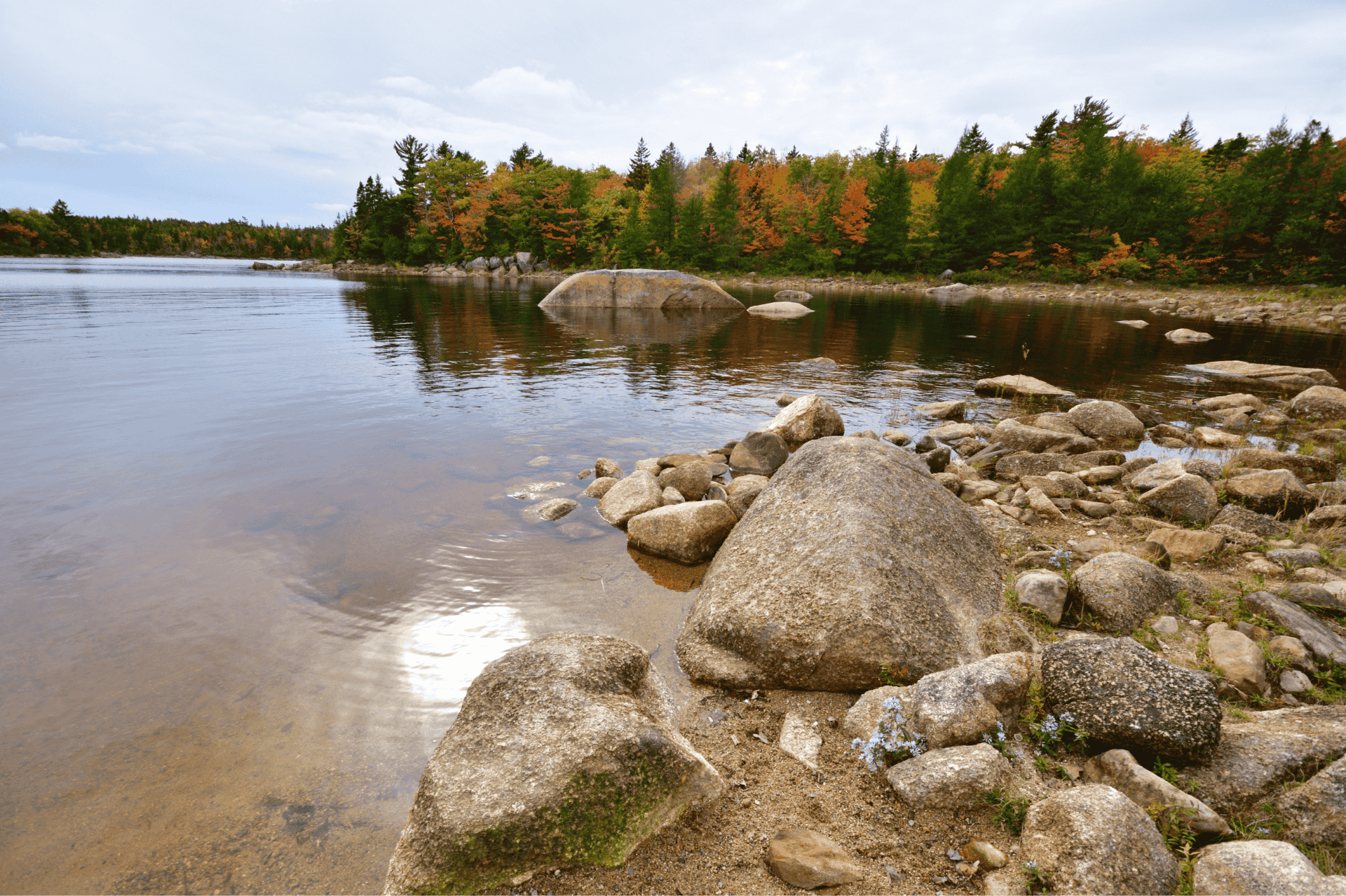 cavern with wooden boardwalk and stairs