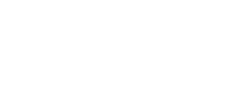 Patagonia
