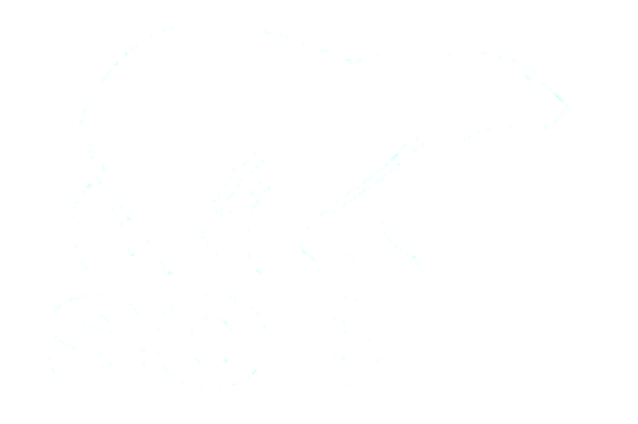 Sorel