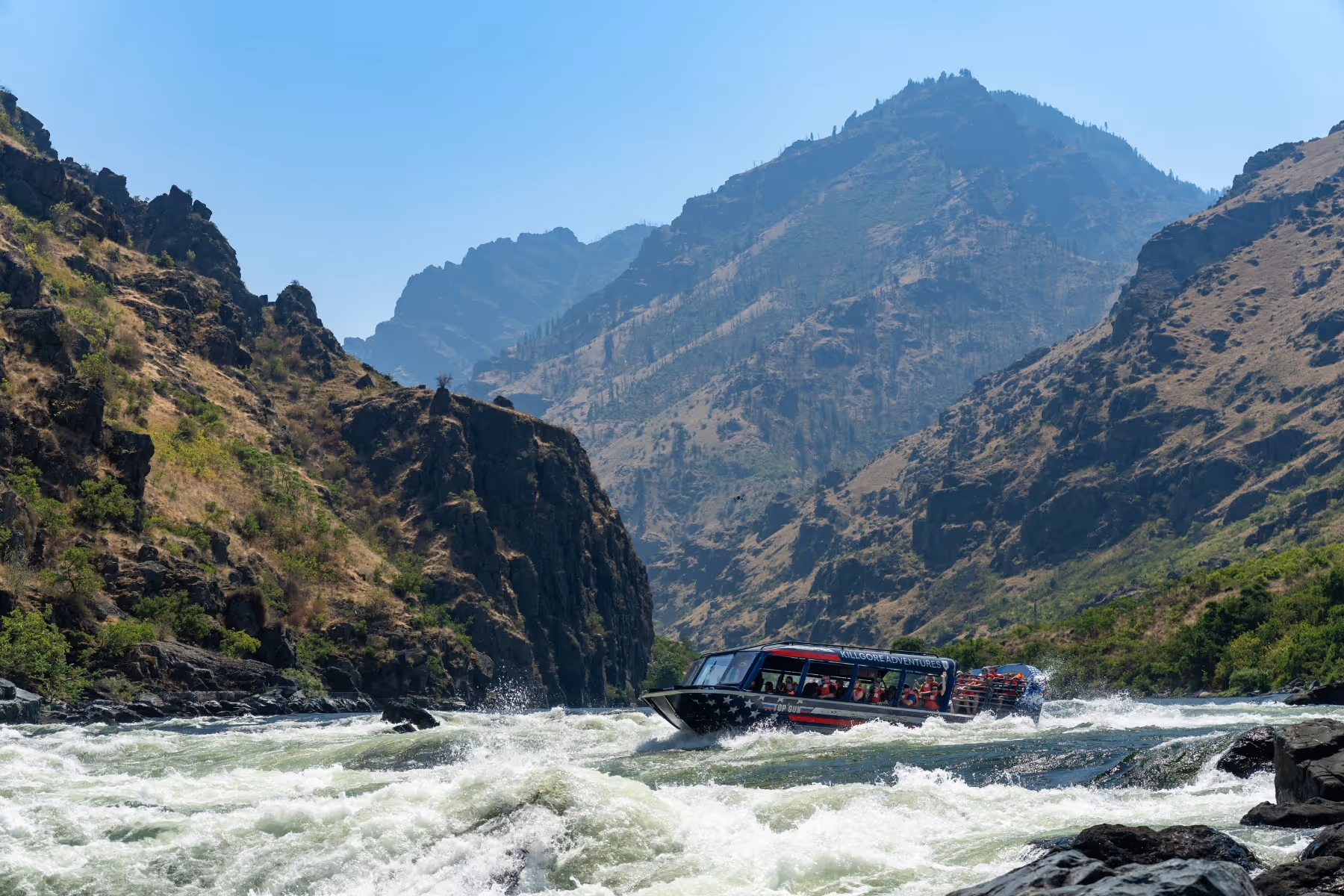 Snowboarder in red jacket carving through fresh snow in a forest of snow-covered trees.