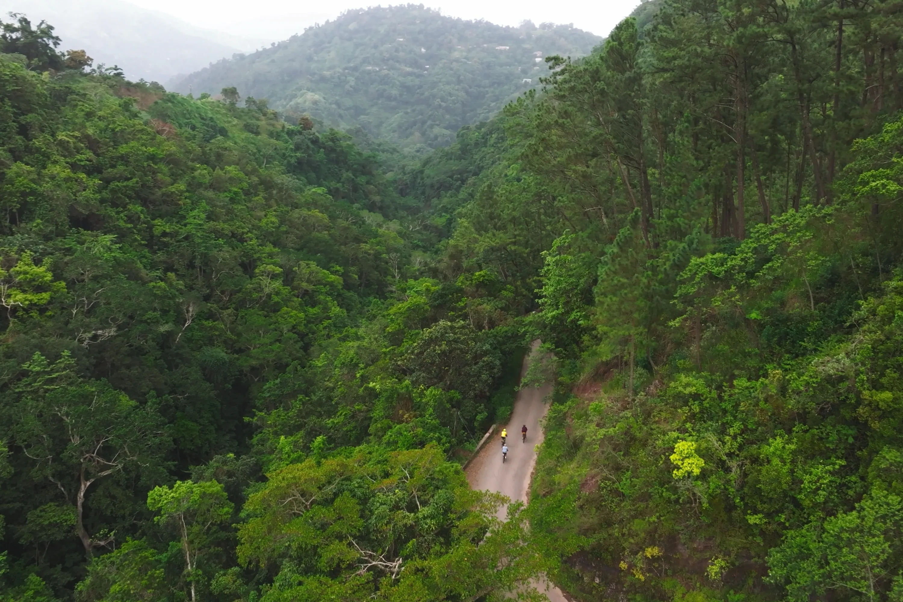 Three cyclists riding on a narrow road surrounded by dense green forest and hills.