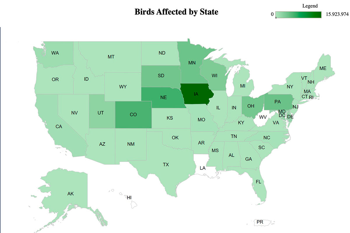 Bird flu map